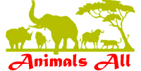 Animals logo