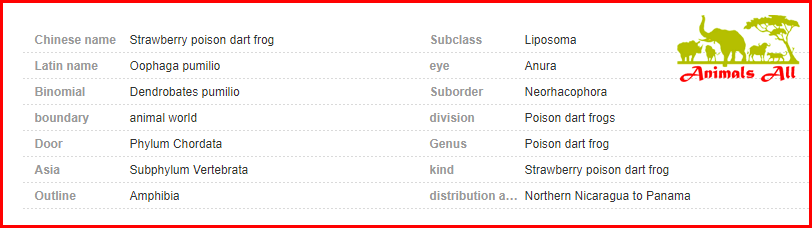 strawberry poison dart frog details chart
