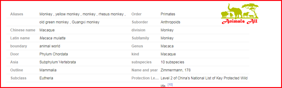 Details Chart 