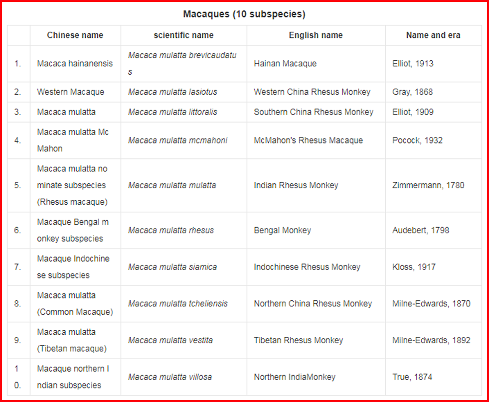 Subspecies Chart