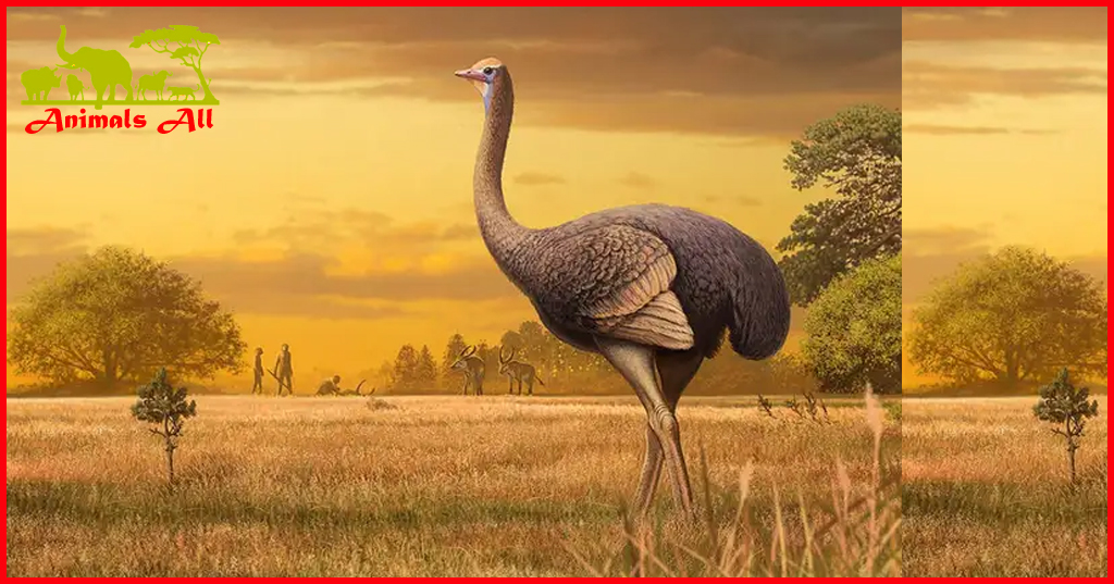 largest bird