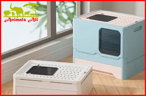 cat litter box