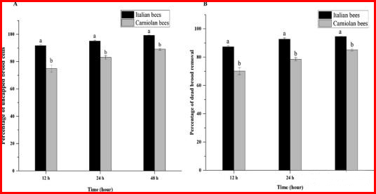 Figure 1. Hygienic behavior (average percentage of uncovered and dead bees removed) of Italian and Carniola honey bee colonies over time. The figure shows a bar graph of uncapped larval chambers (a) and chambers with dead larvae removed (b) in Langstroth hives.