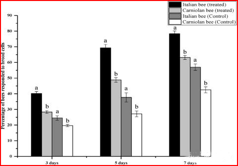 Figure 2. Hygienic behavior of Italian and Carniola bees towards cells containing worker bee eggs with artificially introduced Varroa mites after three, five, and seven days.