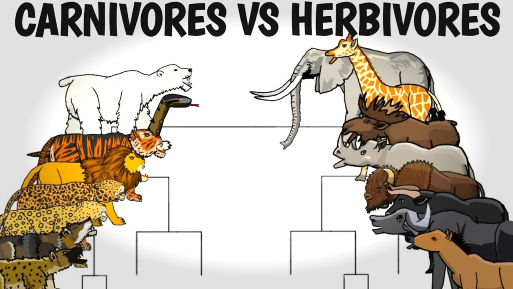 Herbivores vs Carnivores