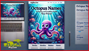 Octopus Names