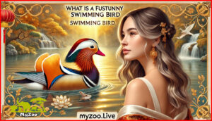 what is a fortunate swimming bird